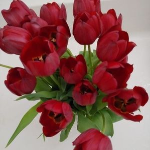 Meet your Posher, Dinah ayson